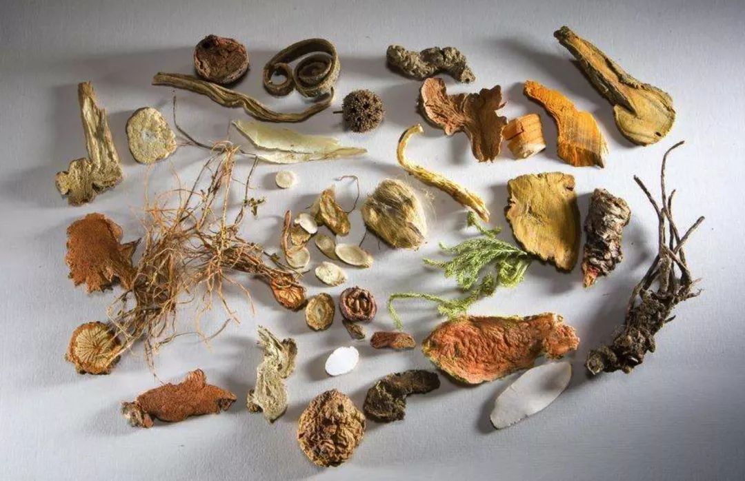 鱼塘里配置这些中草药,鱼肉质好,效益高!价格比同类鱼每公斤高7毛!