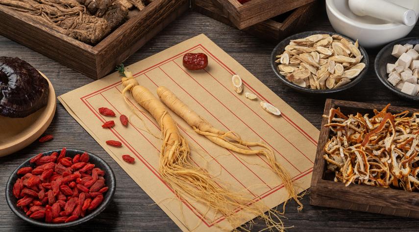 国控东森中医药科技(河南)