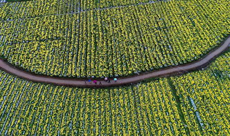 定南县委书记赖正文在人民网 赣南日报 刊文谈这项工作