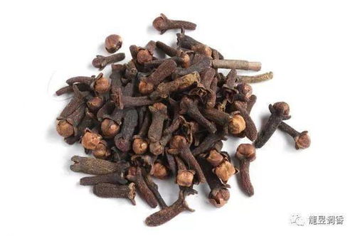 这三种药材配制的钓鱼小药,在家就能做,超好用