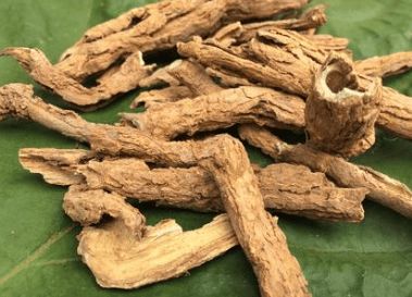 地骨皮这种药材,控制血糖,有效地缓解预防三高 赶紧告诉身边人