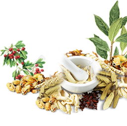 药材 中药 素材矢量图免费下载 psd格式 282像素 编号22771698 千图网