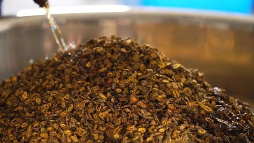 眉山雅连上榜 四川十大地理标志道地药材 ,它的神奇你知道吗