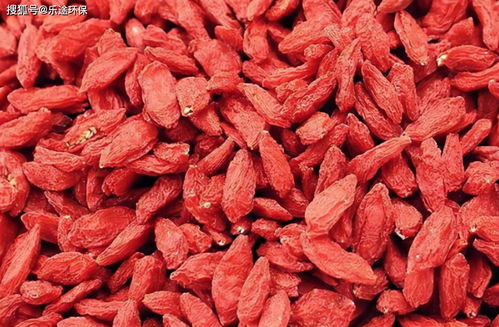 药材烘干机烘干枸杞除湿控温很重要 枸杞烘干机 食品烘干设备