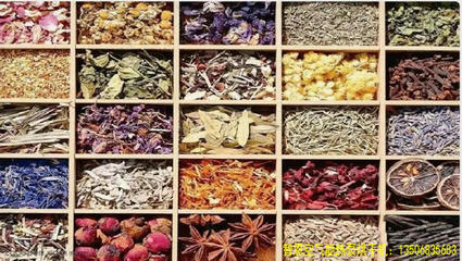 中药材干燥烘干技术的发展现状与趋势