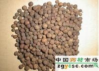 药材总公司中药公司