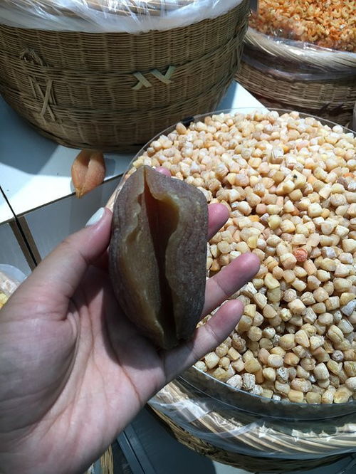 遇见三亚,闻到海的味道