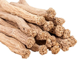 党参价格最新价格行情、党参哪里产的最好