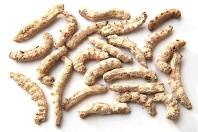 僵蚕副作用是什么呢