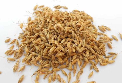 天天吃药把肝脏都吃出毛病来 6种预防药物性肝损伤措施