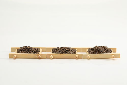 白底决明子中医药材中药摄影图 摄影