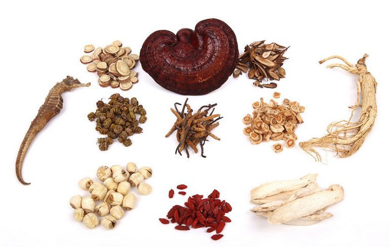 你知道“浙八味”吗?想学会传统中药贵细药材真伪鉴别方法吗?那就约吧~