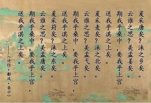 从 诗经 中走出的中药,认识一下菟丝子,和女子有关