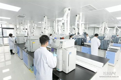 河北五家企业跻身全国医药工业百强，本土药材资源优势凸显