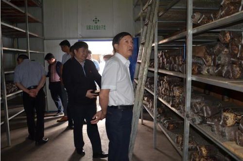 湖北中医药大学赴南漳开展药材资源考察与学术交流