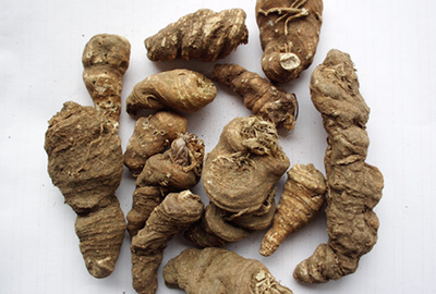 重楼 神奇的中药材及其功效、副作用与图片解析