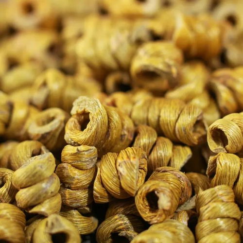 石斛功效与搭配 解暑降燥的养生良方