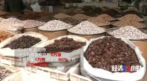 药材种植热 600亩土地上的财富传奇