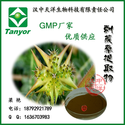 刺蒺藜提取物 刺蒺藜皂甙90%的高品质GMP厂家供应优势与应用