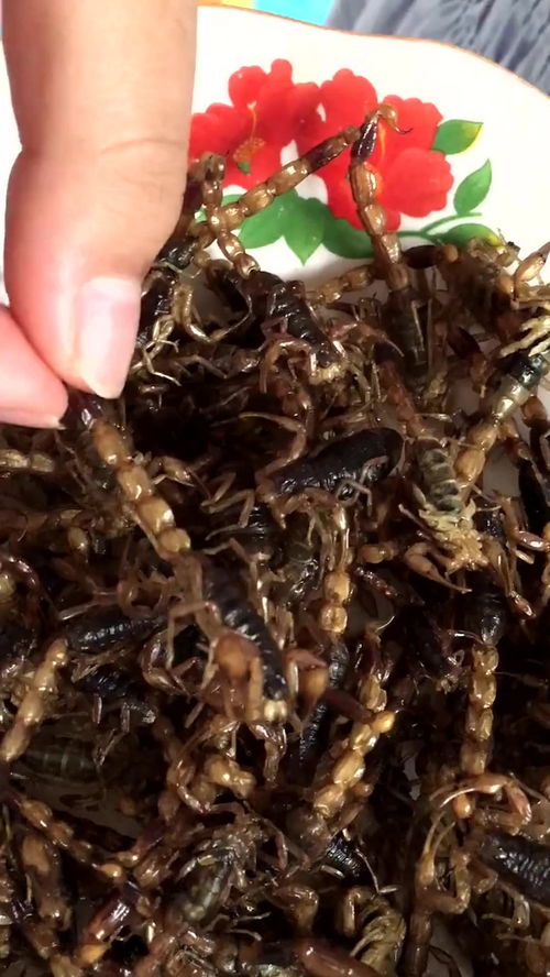 滋阴补肾男人必备 那些罕见却效果显著的珍贵药材