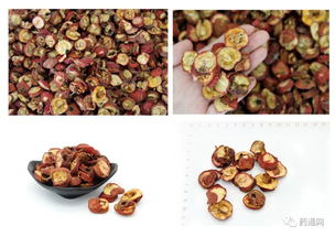 产地药材直销专区 源头好药，健康直达