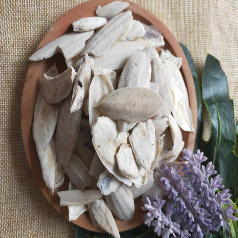 探秘“大海的馈赠”——中药材海螵蛸的前世今生