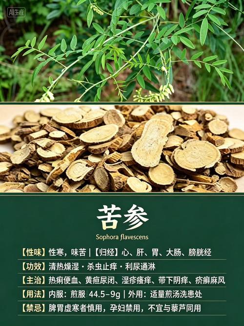 楚雄州中药材产业协会助推天然药库道地中药材全产业链高质量发展