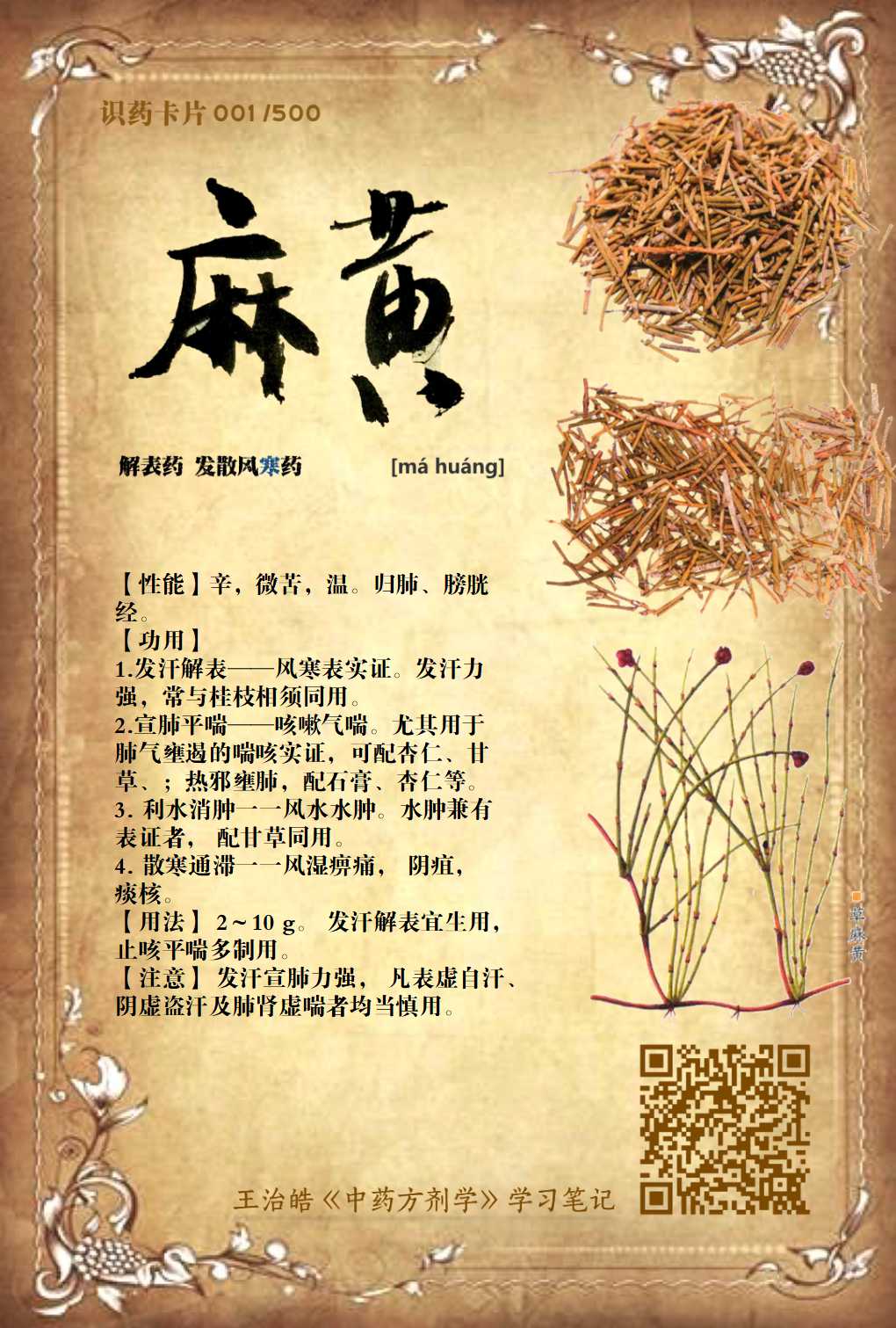 麻黄在线收听_王治皓【中药方剂】卡片歌诀_喜马拉雅FM